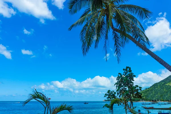 Beautiful tropical beach and sea with coconut palm tree for trav