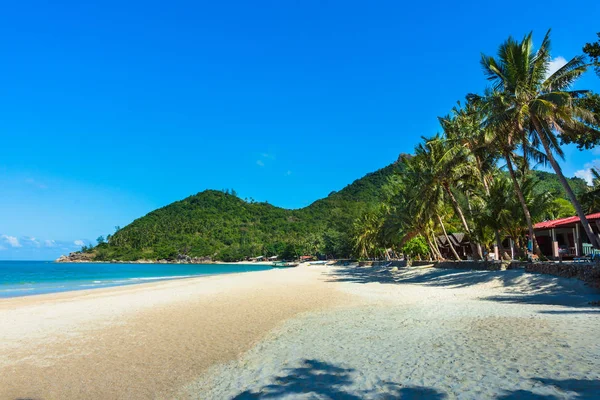 Vue sur belle plage tropicale avec palmier. Vacances et vacances — Photo