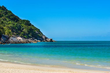 Bir pelerin ve deniz suyunda taze yeşil ağaçlar ile sahil şeridi