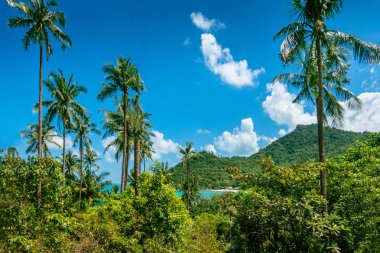 Bulutlar ile mükemmel mavi gökyüzü üzerinde Avuç içi.