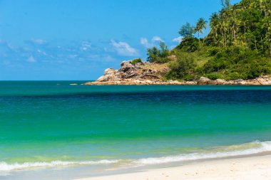 Bir pelerin ve deniz suyunda taze yeşil ağaçlar ile sahil şeridi