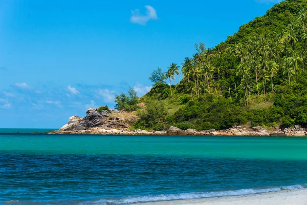 Linha costeira com árvores verdes frescas em uma capa e água do mar — Fotografia de Stock