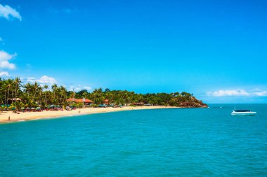 Turkuaz su, ahşap tekneler ve palmiye ağaçları ile deniz kıyısı 
