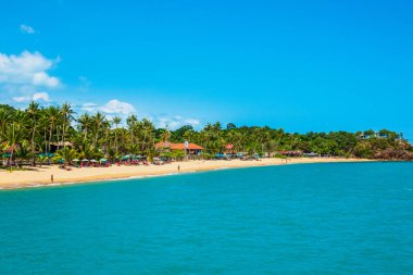 Turkuaz su, ahşap tekneler ve palmiye ağaçları ile deniz kıyısı 