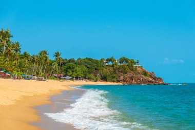 Rüya sahnesi. Güzel sarı kum plaj, tropikal deniz. Toplam