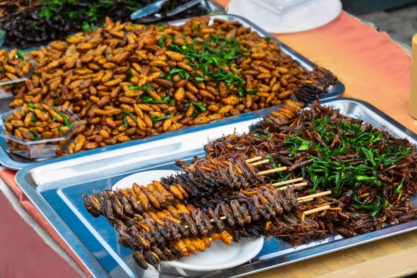 Insectos fritos en venta en el mercado local, Tailandia . —  Fotos de Stock
