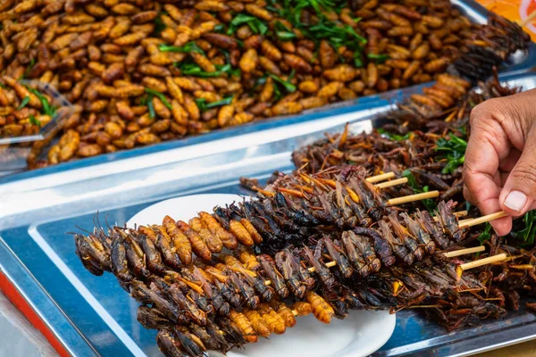 Insectos fritos en venta en el mercado local, Tailandia . —  Fotos de Stock