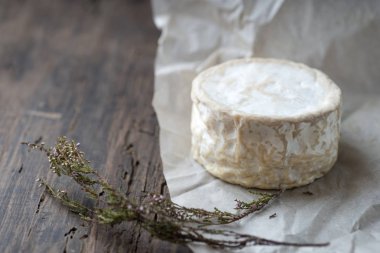 Camembert, buruşuk kağıt arka plan üzerinde yumuşak peynir