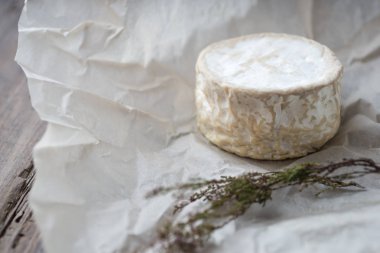 Camembert, buruşuk kağıt arka plan üzerinde yumuşak peynir