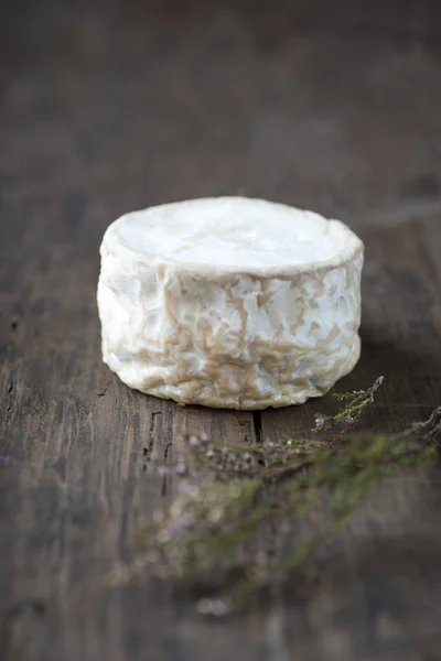 Queso francés suave de camembert sobre mesa de madera — Foto de Stock