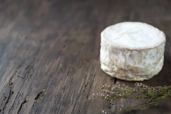 Formaggio francese morbido di camembert su tavolo di legno con spazio copia — Foto Stock