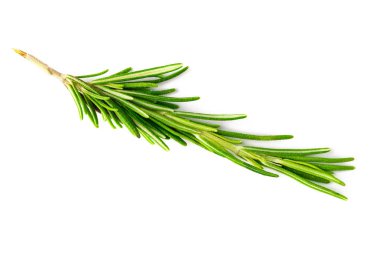 Beyaz arkaplanda biberiye izole edildi