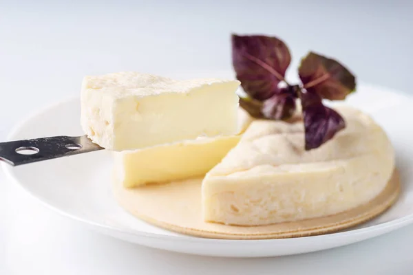Fresh Brie cheese and a slice on a wooden board with fresh basil — Stock Photo, Image