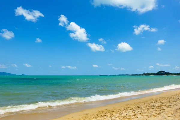 tropikal deniz mavi gökyüzü altında