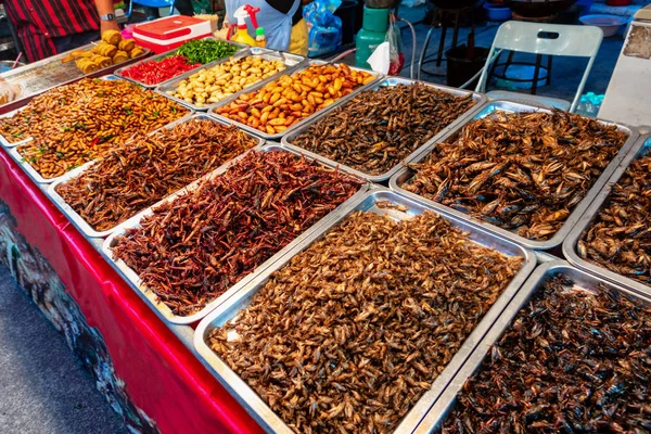 Pražená hmyz, červy a scorpions jako pouliční jídlo v Bangkoku Stock Obrázky