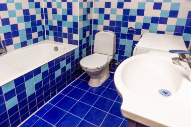 Banyo içinde mavi renkli seramik klozet var..