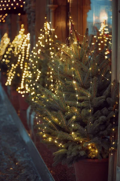 Detalles decorado árbol de Navidad invierno al aire libre . — Foto de Stock