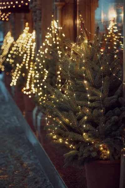 Detalles decorado árbol de Navidad invierno al aire libre . — Foto de Stock