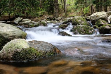 Küçük dağ nehir, yeşil ağaçlar ve taşlar