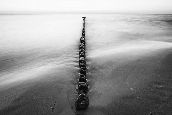 Wooden breakwaters on a shore of the Baltic Sea, black and white photo