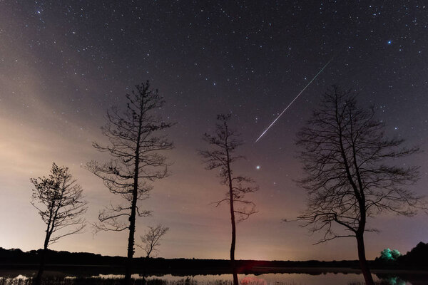 Perseid meteor streak in the night sky