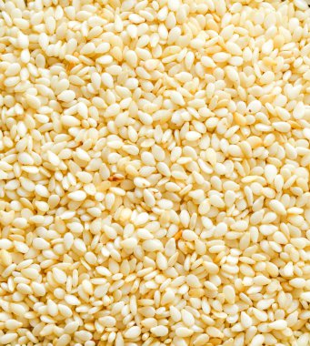 closeup arka plan parlak susam