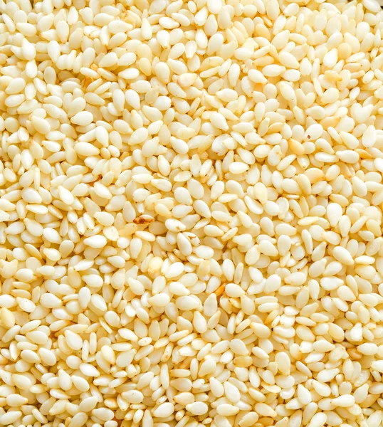 Closeup Background Bright Sesame Seeds — Stock Photo, Image