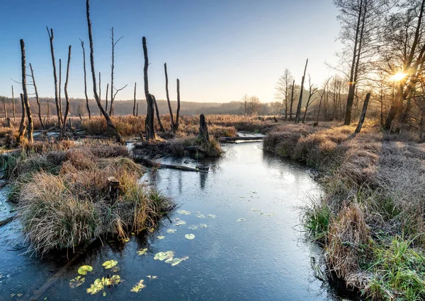 Vue Pittoresque Étang Automne Tôt Matin — Photo