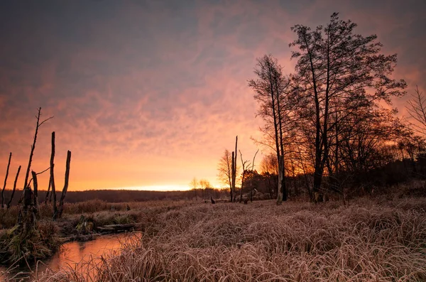 Hermoso Amanecer Parque Fotografía Alta Resolución —  Fotos de Stock