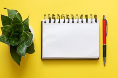 sarı arka plan üzerinde saksı boş defter, kalem ve yeşil bitki üst görünümü