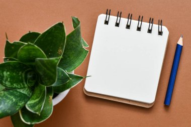 spiral defter ders kitabı, ahşap kalem, saksıyeşil bitki, kopya alanı