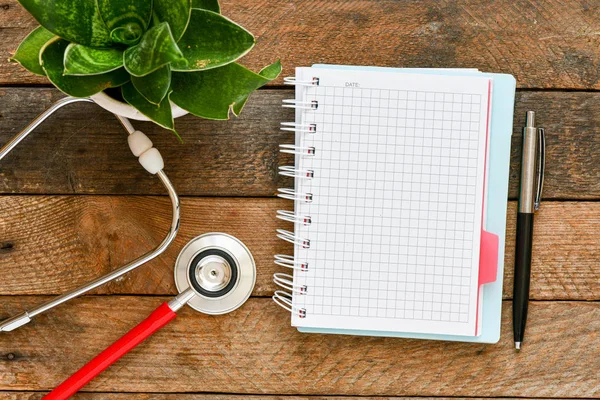 Paper Spiral Notebook Red Stethoscope Pen Green Plant Leaves Wooden — Stock Photo, Image