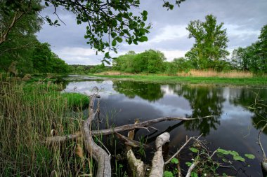 Yeşil ormanlı göl, bulutlu gri gökyüzü.