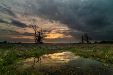 kırsal alanda gün batımının doğal görünümü