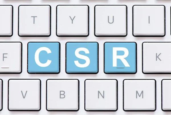 Datortangentbord Med Csr Knapp — Stockfoto