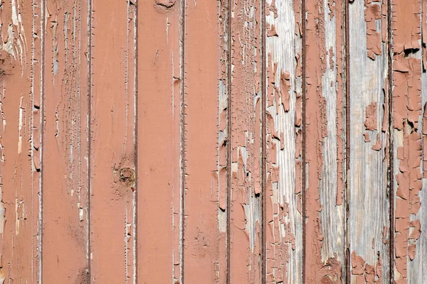 Wood texture for your background — Stock Photo, Image