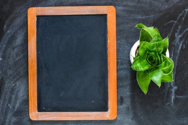 kopya alanı ve çiçek için bir boş tebeşir tahtası