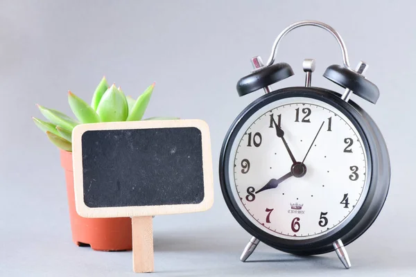 Vista Primer Plano Del Reloj Despertador Retro Planta Suculenta Verde — Foto de Stock