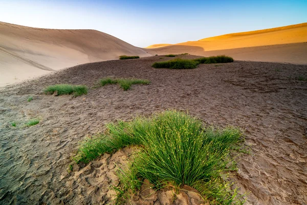 Hermosa Vista Las Dunas Del Desierto — Foto de Stock