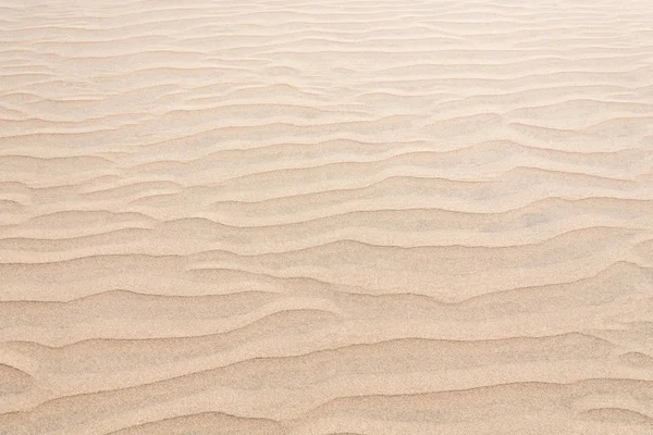 Dune Sabbia Vista Sullo Sfondo — Foto Stock