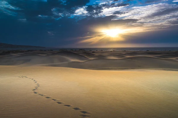 Όμορφες Αμμοθίνες Θέα — Φωτογραφία Αρχείου