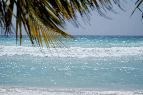 Trópusi Strand Hullámok Óceánban — Stock Fotó