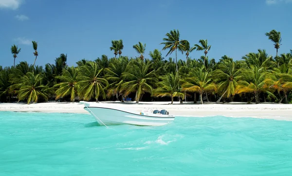 Τροπική Παραλία Δομινικανή Δημοκρατία Καραϊβική Θάλασσα — Φωτογραφία Αρχείου