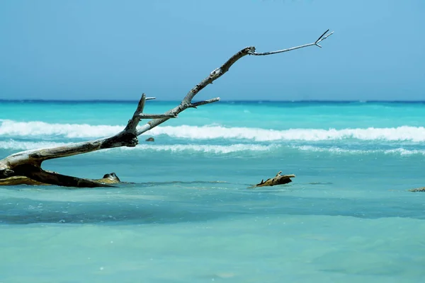 Tropical Beach Dominikanska Republiken Karibiska Havet Stockfoto