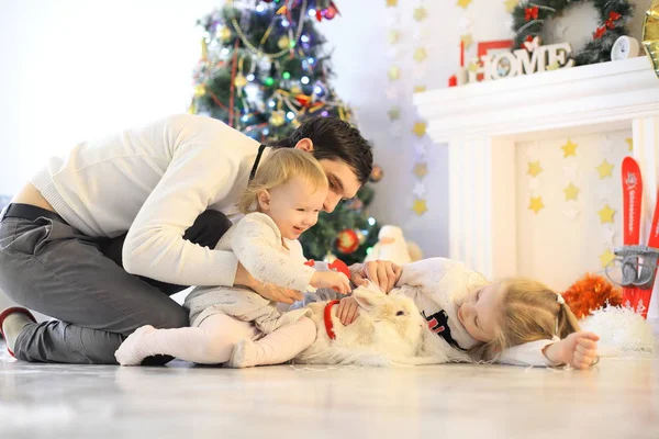 Aile, Noel, x-mas, mutluluk ve insan kavramı - baba ve kız hediye kutusu tutan gülümseyerek