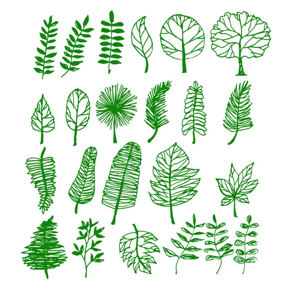 Hand Drawn Tree Icons White Background — Stock Vector