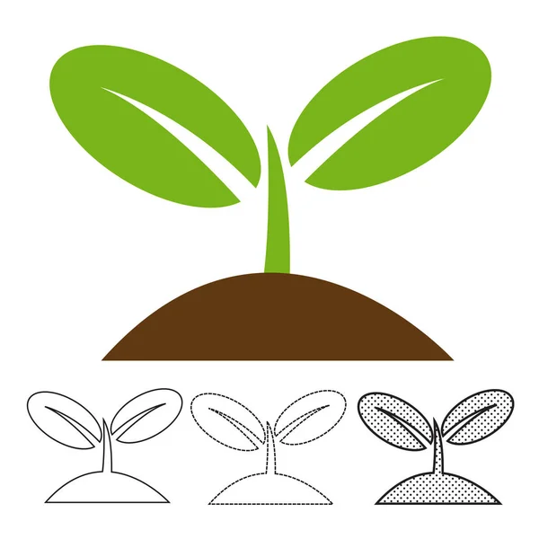 Planta Brotar Icono Concepto Ecológico Vector Ilustración — Vector de stock