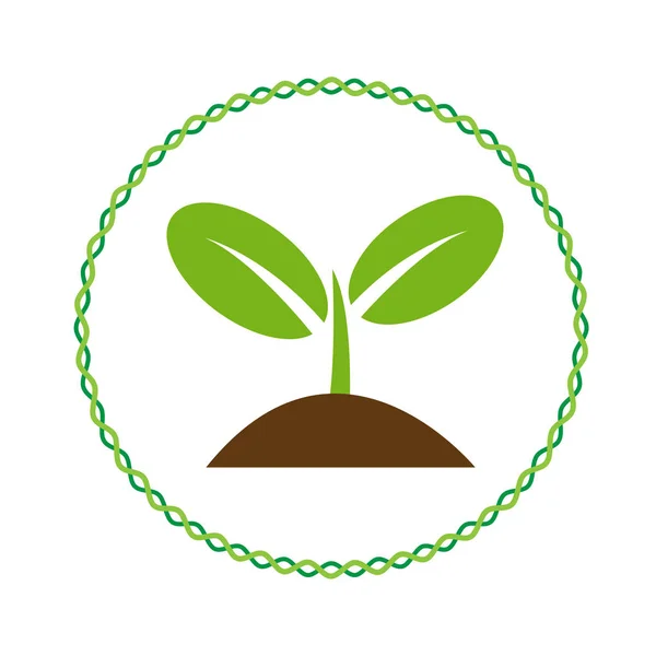 Plant Sprout Pictogram Vectorillustratie — Stockvector