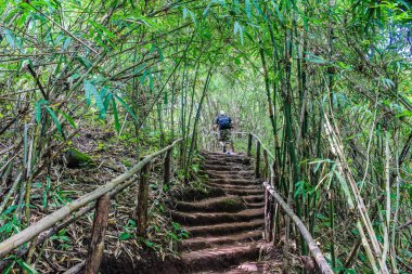 Phu Pa Poh Loie Tayland