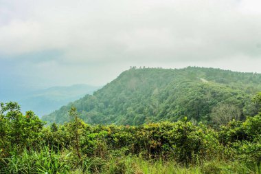 Phurua Ulusal Parkı, Loei Tayland